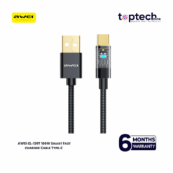 AWEI CL-139T 100W Smart Fast Charger Type-C Cable