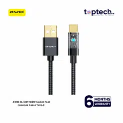AWEI CL-139T 100W Smart Fast Charger Type-C Cable
